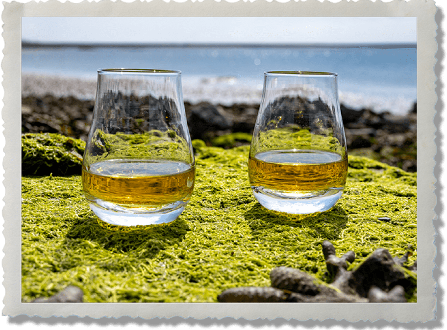 Easter Sips & Seaside Bites